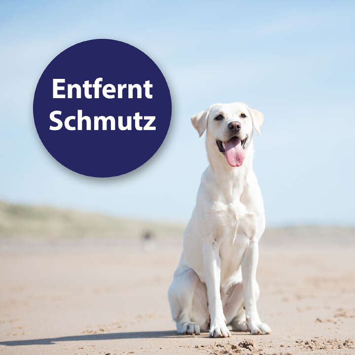 Canosept Ohrpflege Finger-Pads für Hunde